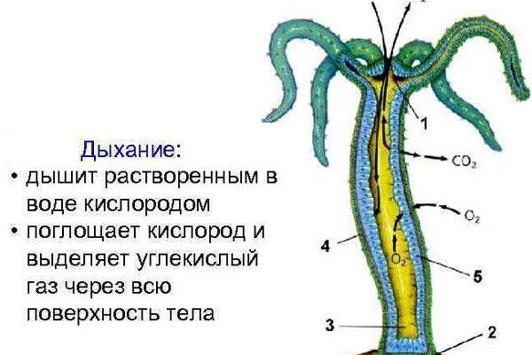 Регистрация на кракен