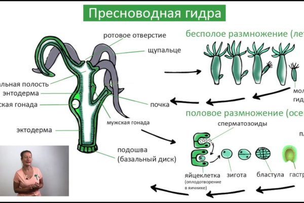 Кракен даркнет текст