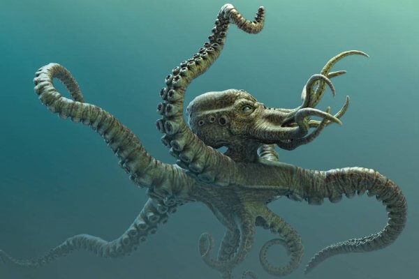 Кракен даркнет krawebes