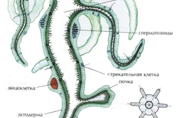 Кракен даркнет тг