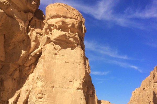 Кракен оригинальные ссылка в тор