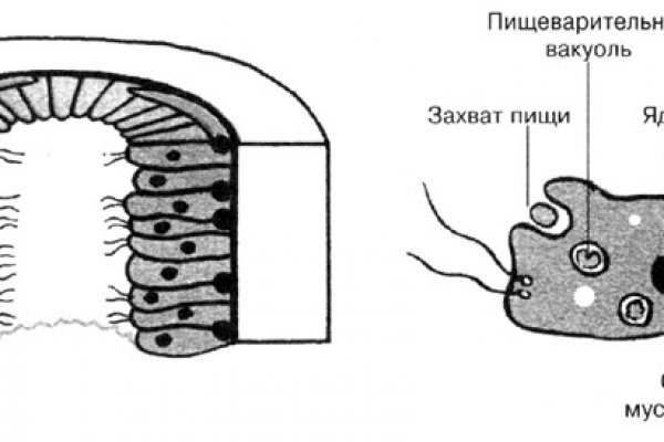 Как подключиться к даркнету