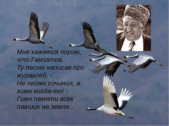 Kraken рабочее зеркало
