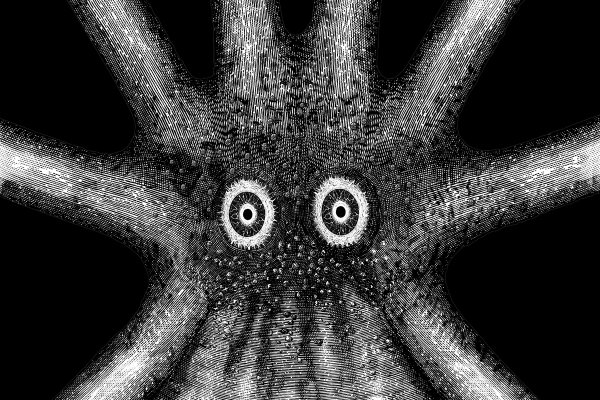 Kraken маркетплейс официальный