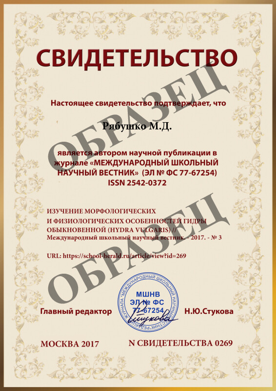 Магазины с наркотиками
